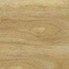 Pardoseli PVC, pardoseli, pardoseli omogen, pardoseli pvc eterogene, dale pvc, dale, pardoseli pvc pentru sport, tapet pvc, tapet, linoleum, pardoseli spitale, pardoseli cabinete medicale, pardoseli scoli
