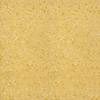 Pardoseli PVC, pardoseli, pardoseli omogen, pardoseli pvc eterogene, dale pvc, dale, pardoseli pvc pentru sport, tapet pvc, tapet, linoleum, pardoseli spitale, pardoseli cabinete medicale, pardoseli scoli