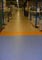 Pardoseli PVC, pardoseli, pardoseli omogen, pardoseli pvc eterogene, dale pvc, dale, pardoseli pvc pentru sport, tapet pvc, tapet, linoleum, pardoseli spitale, pardoseli cabinete medicale, pardoseli scoli