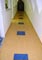 Pardoseli PVC, pardoseli, pardoseli omogen, pardoseli pvc eterogene, dale pvc, dale, pardoseli pvc pentru sport, tapet pvc, tapet, linoleum, pardoseli spitale, pardoseli cabinete medicale, pardoseli scoli