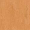 Pardoseli PVC, pardoseli, pardoseli omogen, pardoseli pvc eterogene, dale pvc, dale, pardoseli pvc pentru sport, tapet pvc, tapet, linoleum, pardoseli spitale, pardoseli cabinete medicale, pardoseli scoli