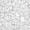 Pardoseli PVC, pardoseli, pardoseli omogen, pardoseli pvc eterogene, dale pvc, dale, pardoseli pvc pentru sport, tapet pvc, tapet, linoleum, pardoseli spitale, pardoseli cabinete medicale, pardoseli scoli