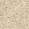 Pardoseli PVC, pardoseli, pardoseli omogen, pardoseli pvc eterogene, dale pvc, dale, pardoseli pvc pentru sport, tapet pvc, tapet, linoleum, pardoseli spitale, pardoseli cabinete medicale, pardoseli scoli