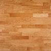 Pardoseli PVC, pardoseli, pardoseli omogen, pardoseli pvc eterogene, dale pvc, dale, pardoseli pvc pentru sport, tapet pvc, tapet, linoleum, pardoseli spitale, pardoseli cabinete medicale, pardoseli scoli