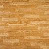Pardoseli PVC, pardoseli, pardoseli omogen, pardoseli pvc eterogene, dale pvc, dale, pardoseli pvc pentru sport, tapet pvc, tapet, linoleum, pardoseli spitale, pardoseli cabinete medicale, pardoseli scoli
