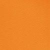 Pardoseli PVC, pardoseli, pardoseli omogen, pardoseli pvc eterogene, dale pvc, dale, pardoseli pvc pentru sport, tapet pvc, tapet, linoleum, pardoseli spitale, pardoseli cabinete medicale, pardoseli scoli