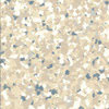 Pardoseli PVC, pardoseli, pardoseli omogen, pardoseli pvc eterogene, dale pvc, dale, pardoseli pvc pentru sport, tapet pvc, tapet, linoleum, pardoseli spitale, pardoseli cabinete medicale, pardoseli scoli