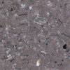 Pardoseli PVC, pardoseli, pardoseli omogen, pardoseli pvc eterogene, dale pvc, dale, pardoseli pvc pentru sport, tapet pvc, tapet, linoleum, pardoseli spitale, pardoseli cabinete medicale, pardoseli scoli